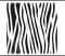 Animal Fur/Skin
